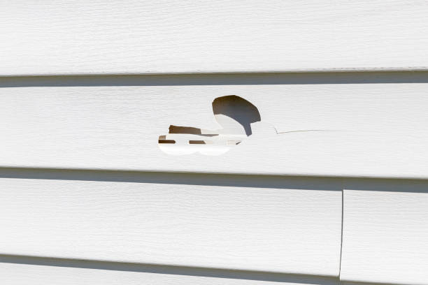 Best Siding Painting and Refinishing  in Blackhawk, CA